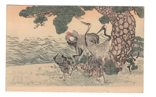 Animals japan gru - japan,