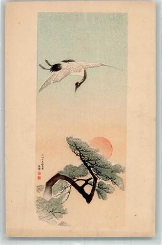 39831380 tokyo ort lt - 39831380,